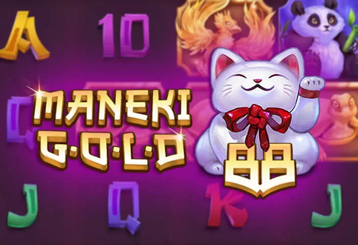 Experimente a emoção dos jogos do MCW Casino Brasil.