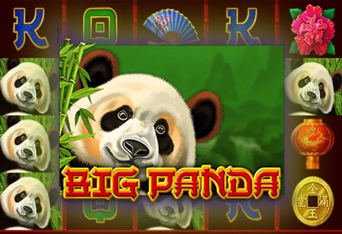 Получите эксклюзивные бонусы MCW Casino для новых игроков